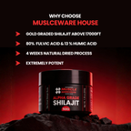 Shilajit sourcing and quality information graphic